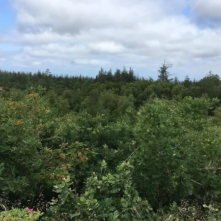 בית נופש 7 Person In Oksbøl