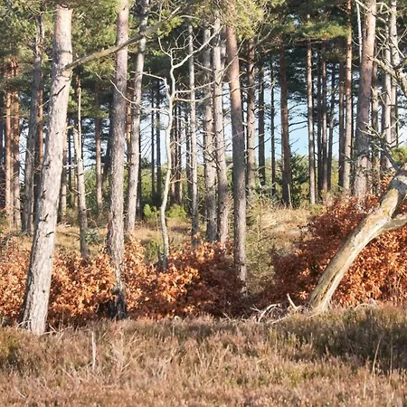 7 Person In בית נופש