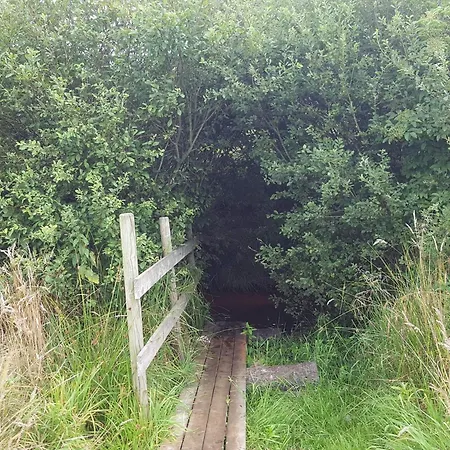 7 Person In בית נופש *