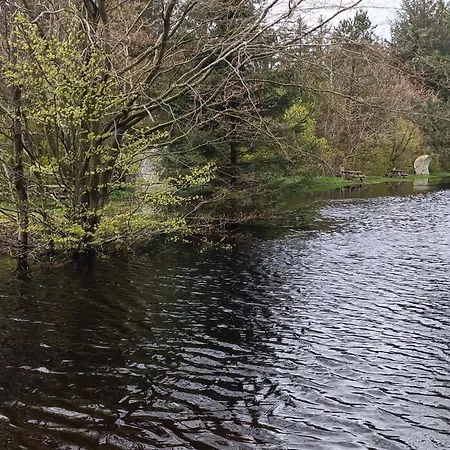 7 Person In * Oksbøl