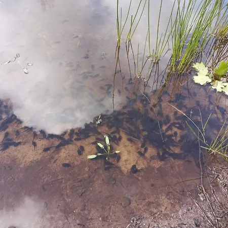 7 Person In בית נופש *